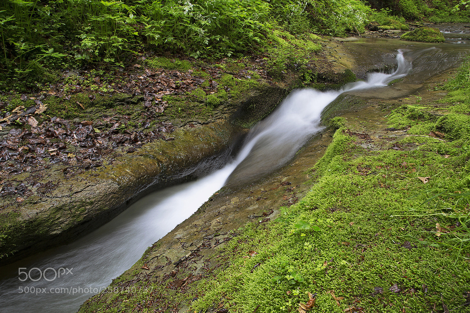 Canon EOS 6D sample photo. Mutzbach photography