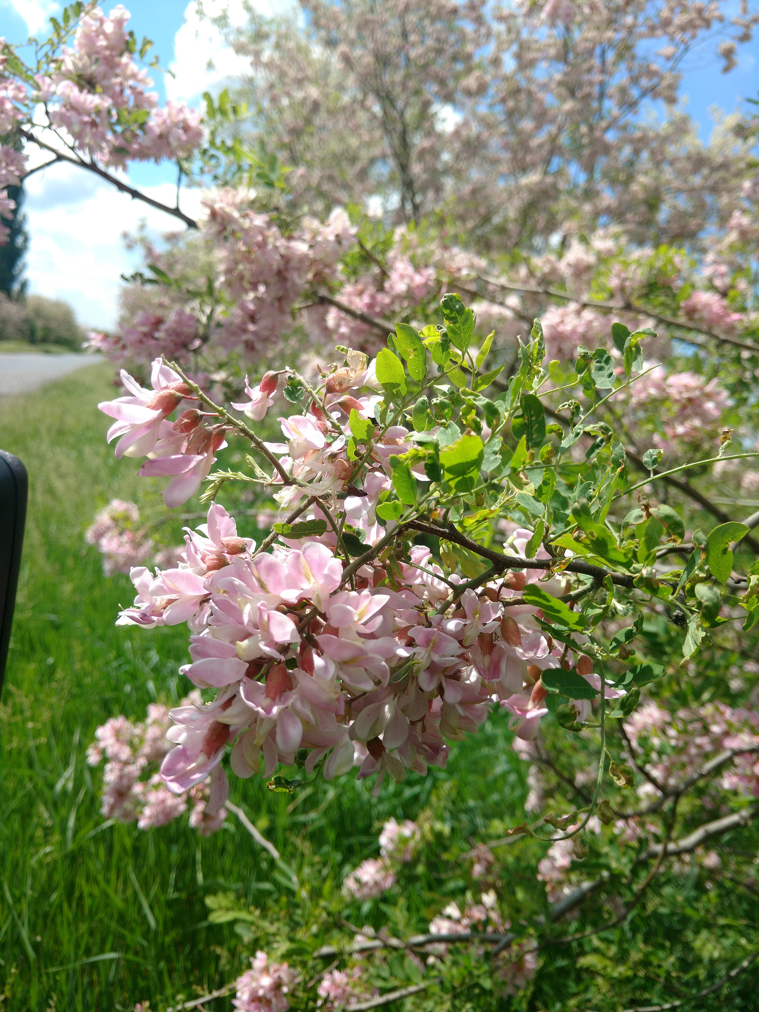 Motorola Moto X Play sample photo. Img_20180519_115750231.jpg photography