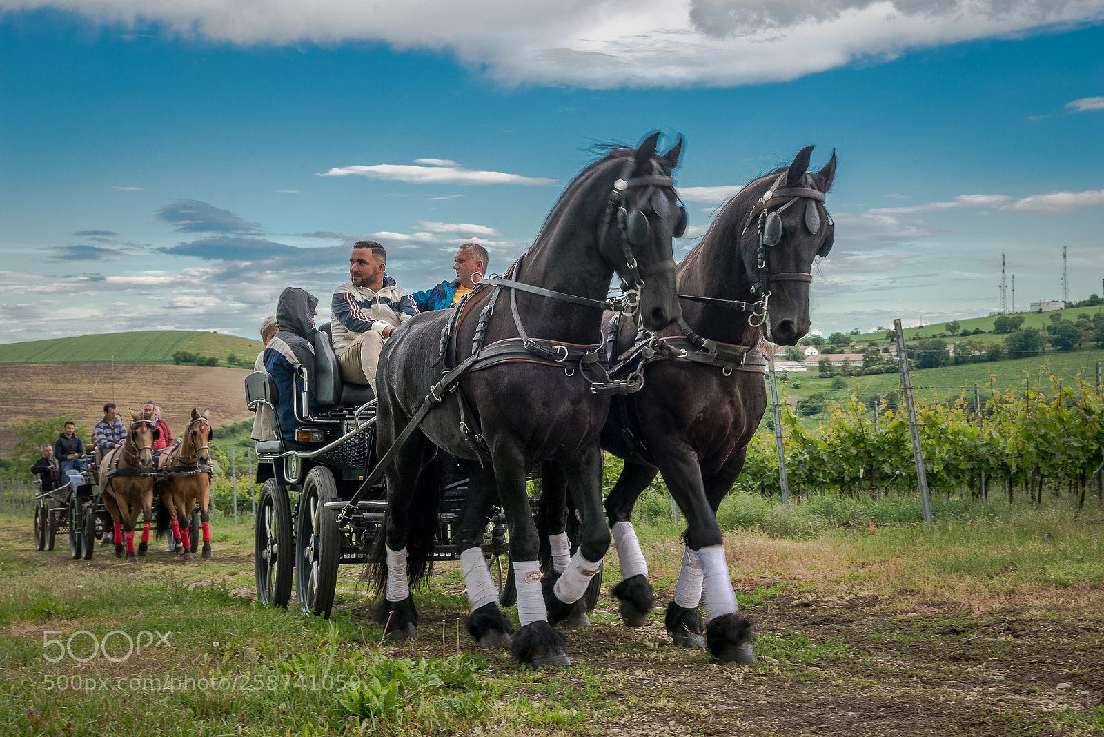 Nikon D610 sample photo. Evening ride photography