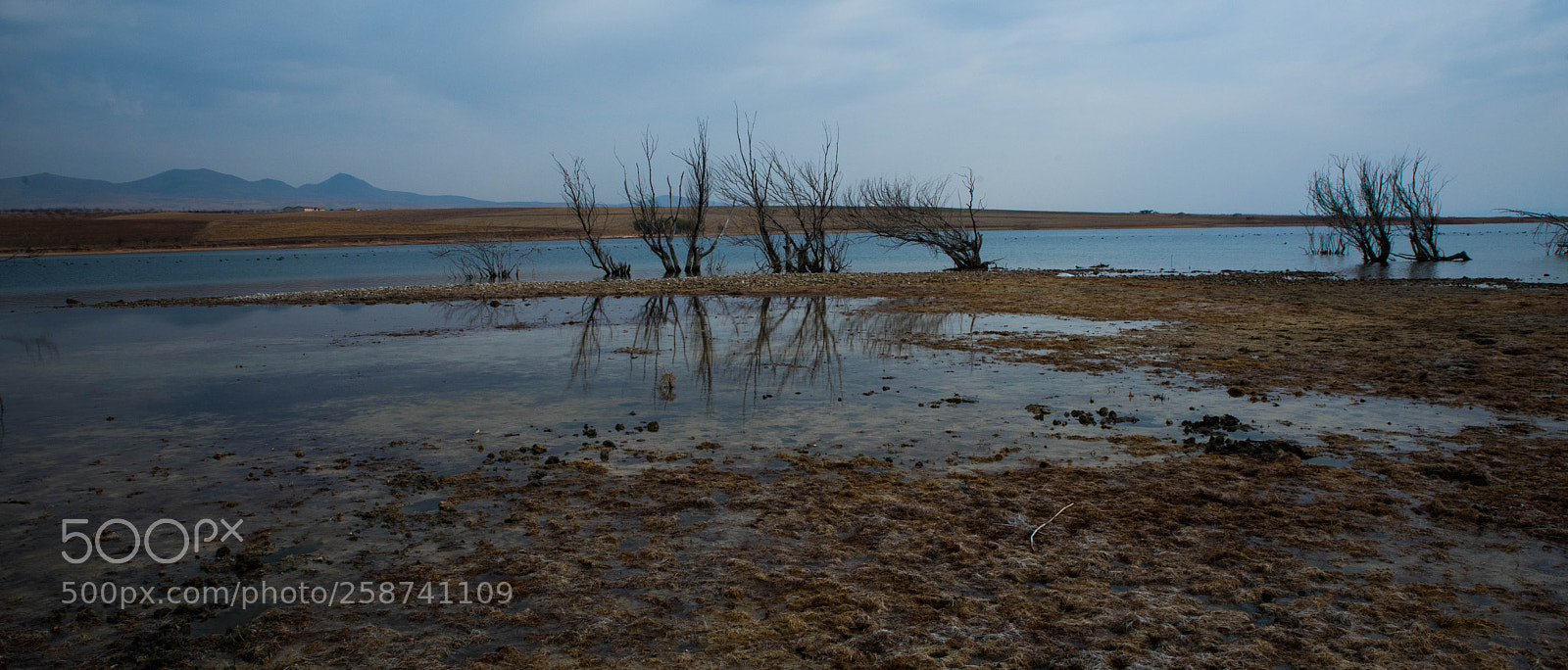 Nikon D810 sample photo. Lake photography