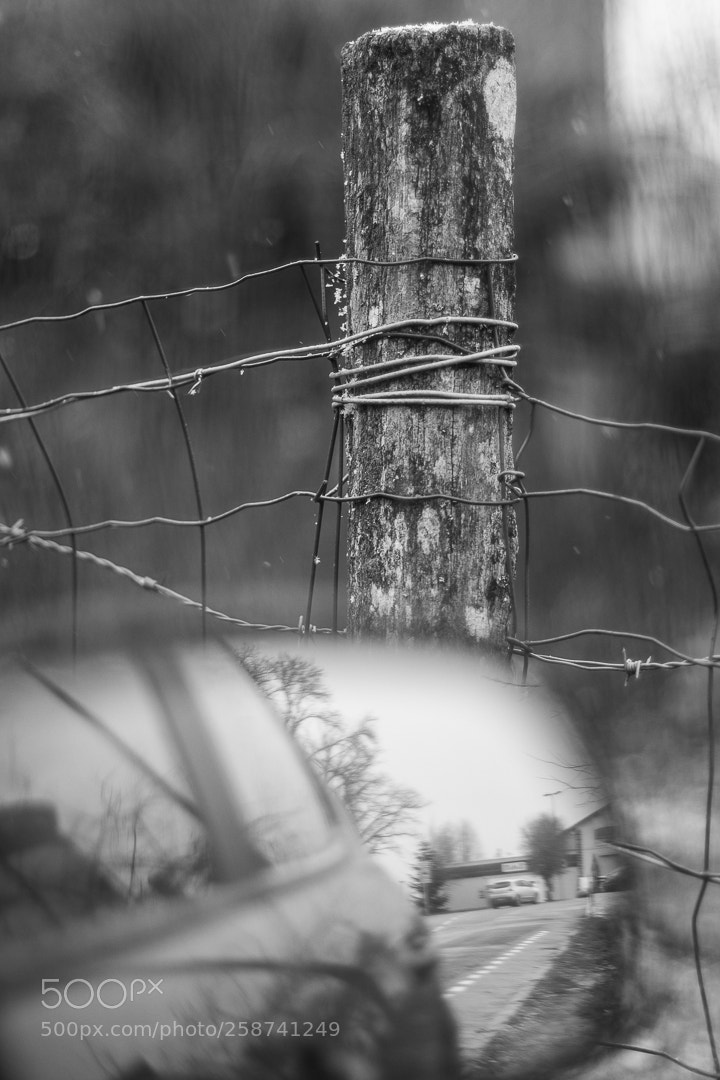 Canon EOS 80D sample photo. Le poteau photography