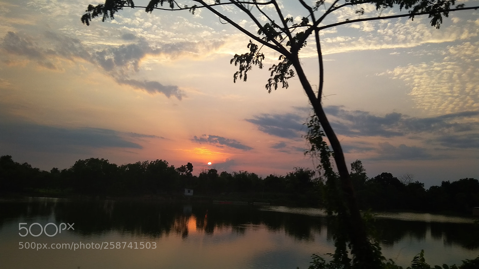 Xiaomi Redmi 4A sample photo. Untitled photography