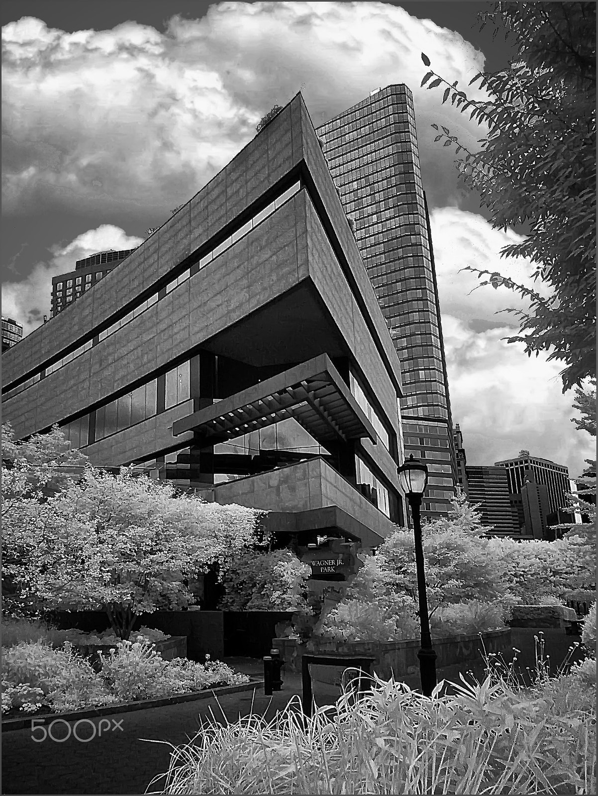 Olympus SZ-15,DZ-100 sample photo. Infrared west-side park photography