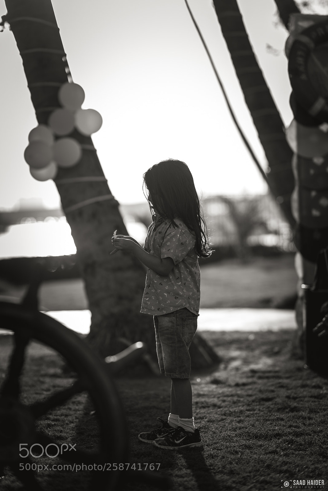 Nikon D750 sample photo. B&w photography