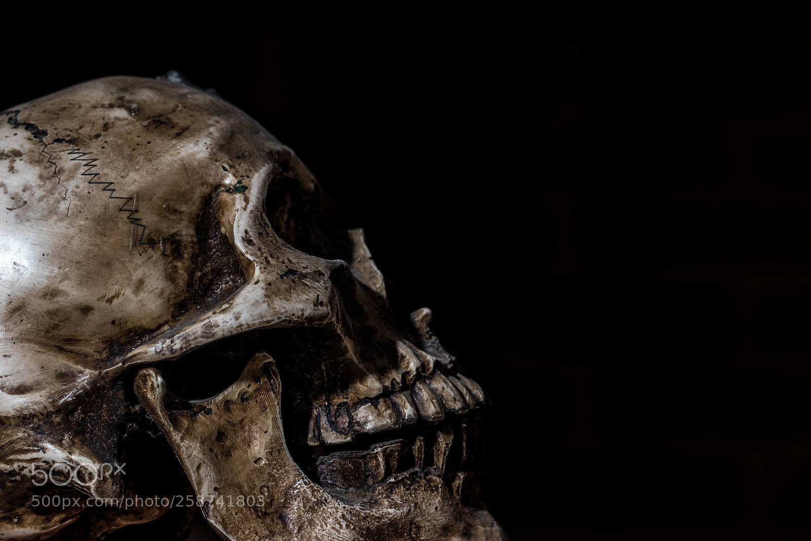 Canon EOS 80D sample photo. Calavera photography