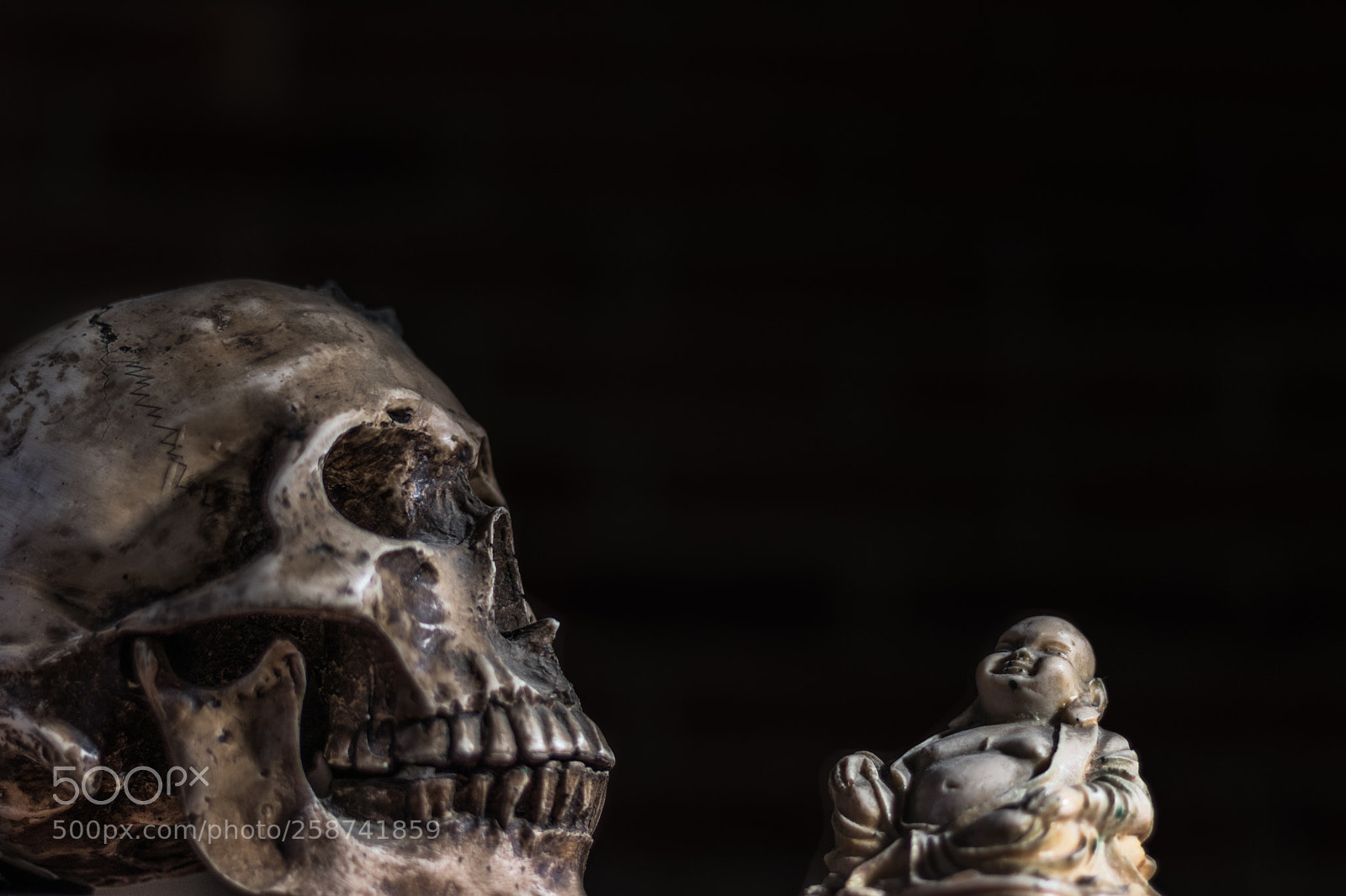 Canon EOS 80D sample photo. Calavera photography