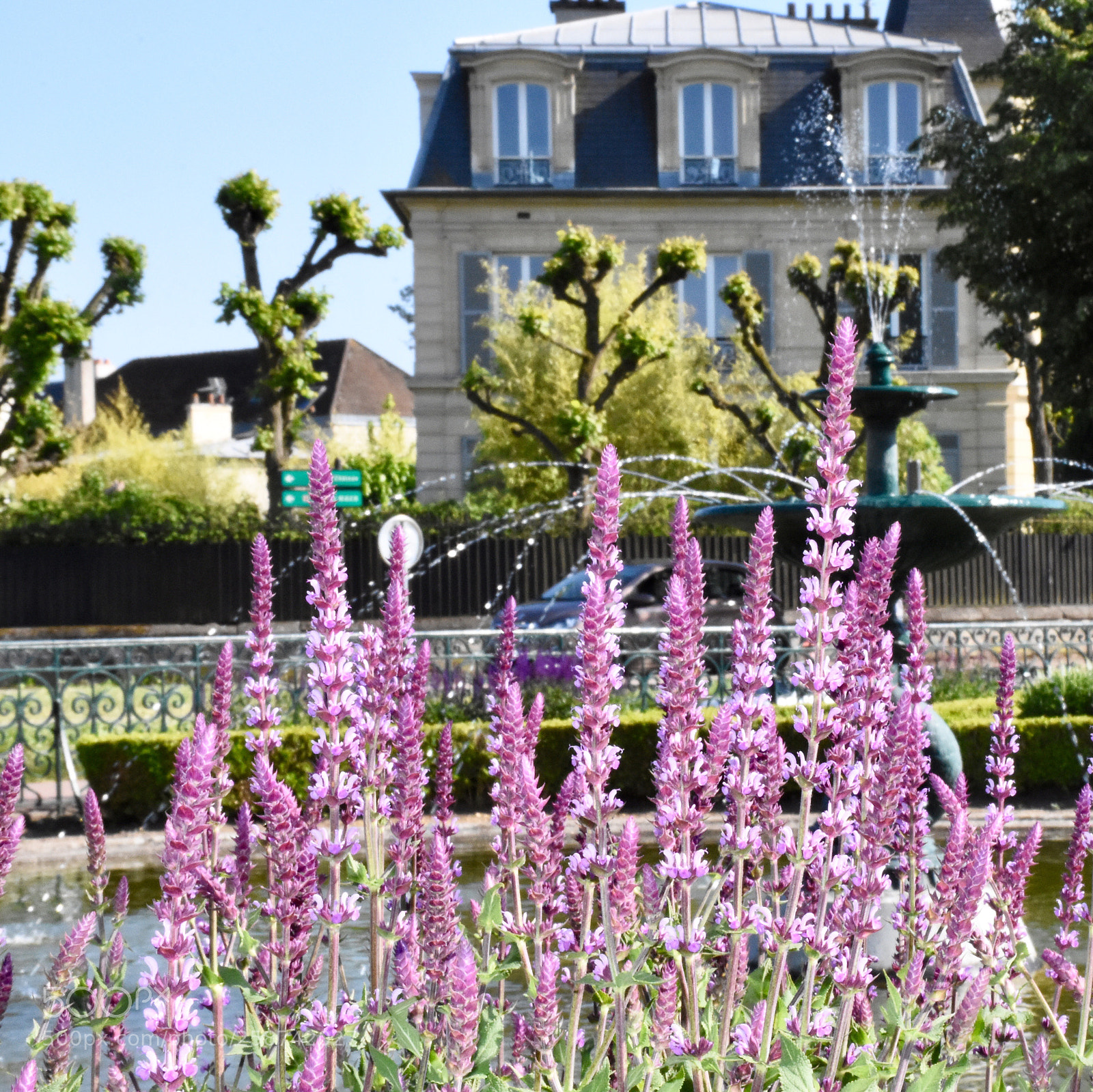 Nikon D7200 sample photo. Place du château  photography