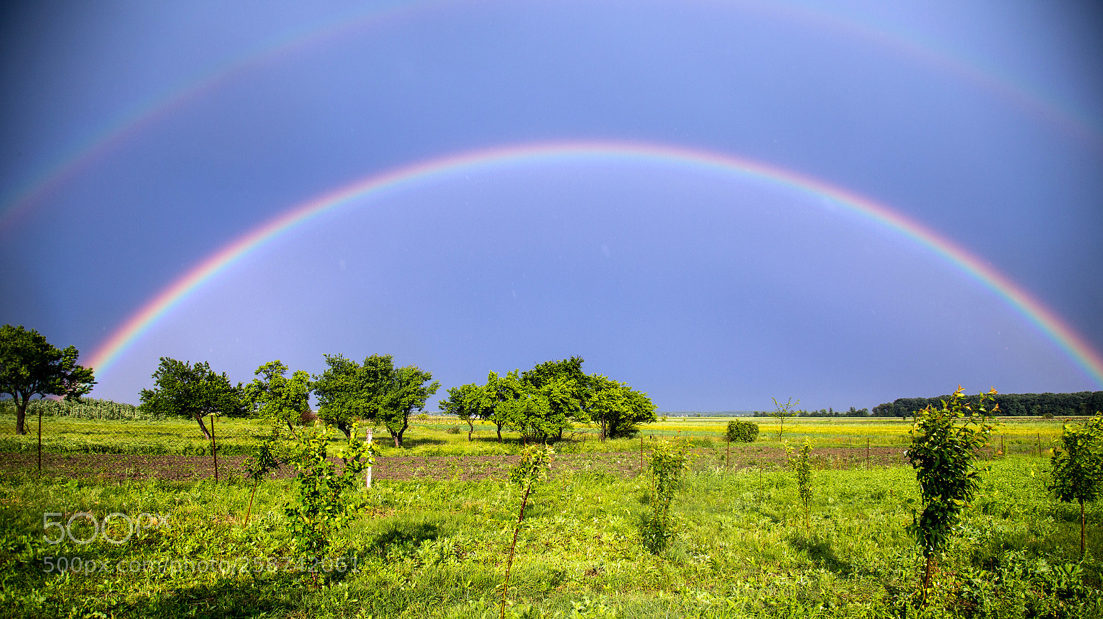 Canon EOS 6D sample photo. Nature photography