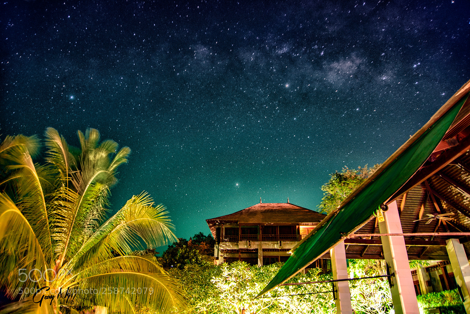 Nikon D610 sample photo. *** photography