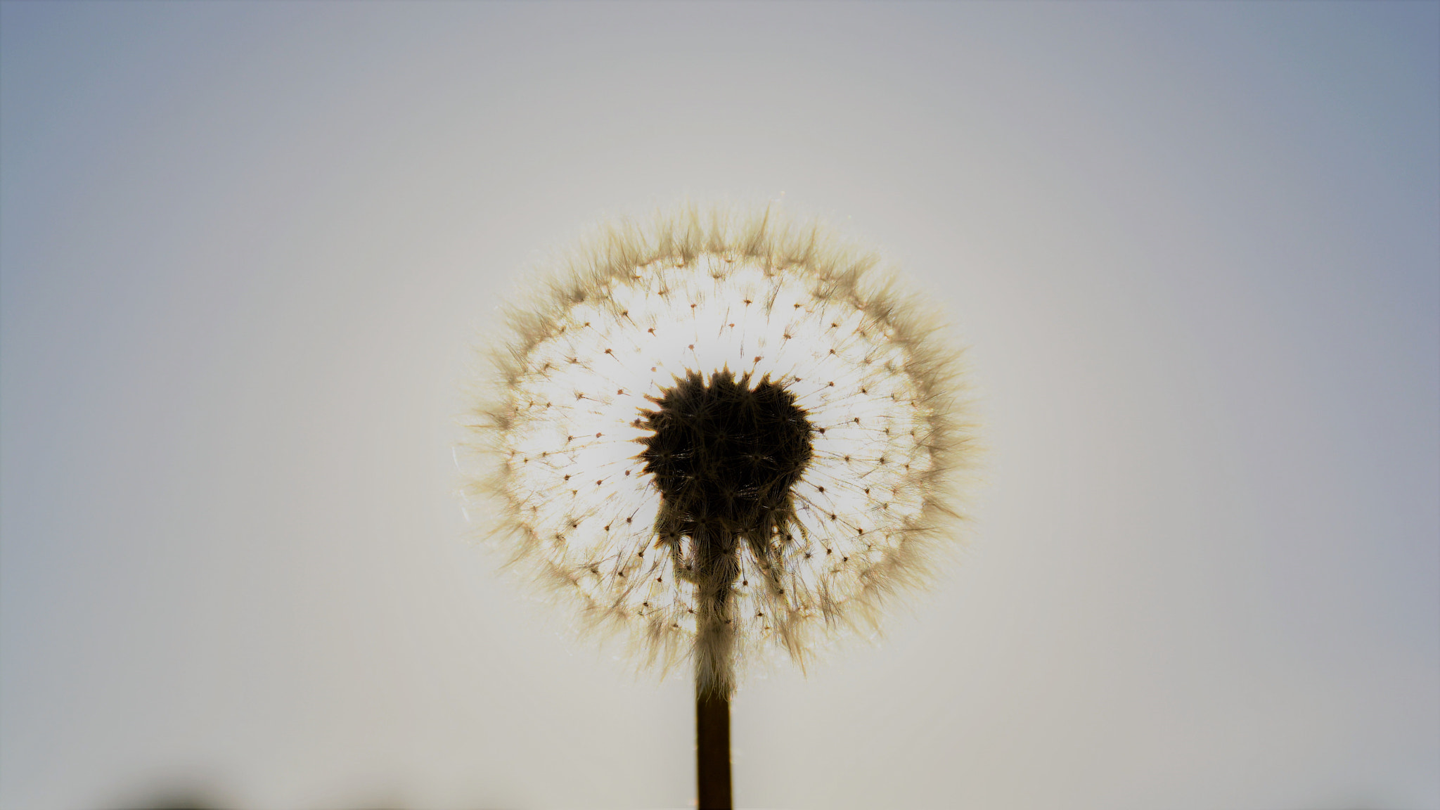 Nikon D5200 sample photo