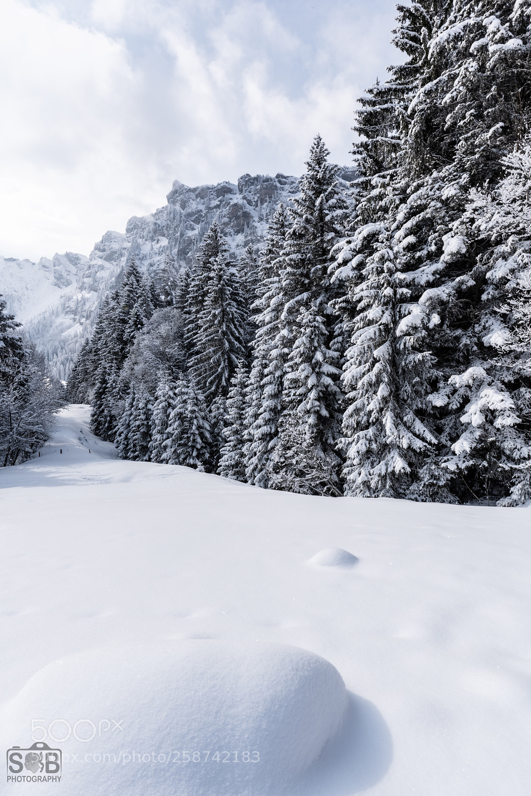 Nikon D810 sample photo. Engelberg winter landscape 8 photography