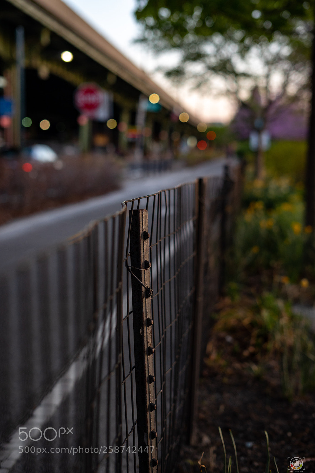 Sony a7 II sample photo. Fence  photography