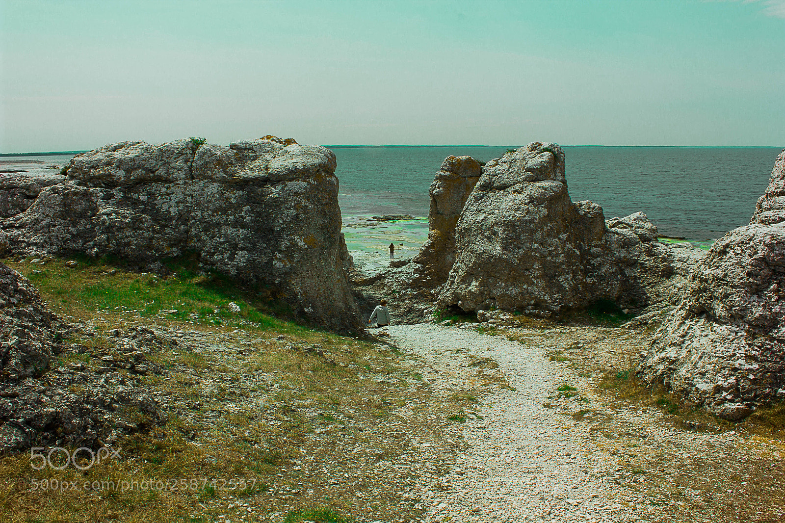 Canon EOS 550D (EOS Rebel T2i / EOS Kiss X4) sample photo. Gotland photography