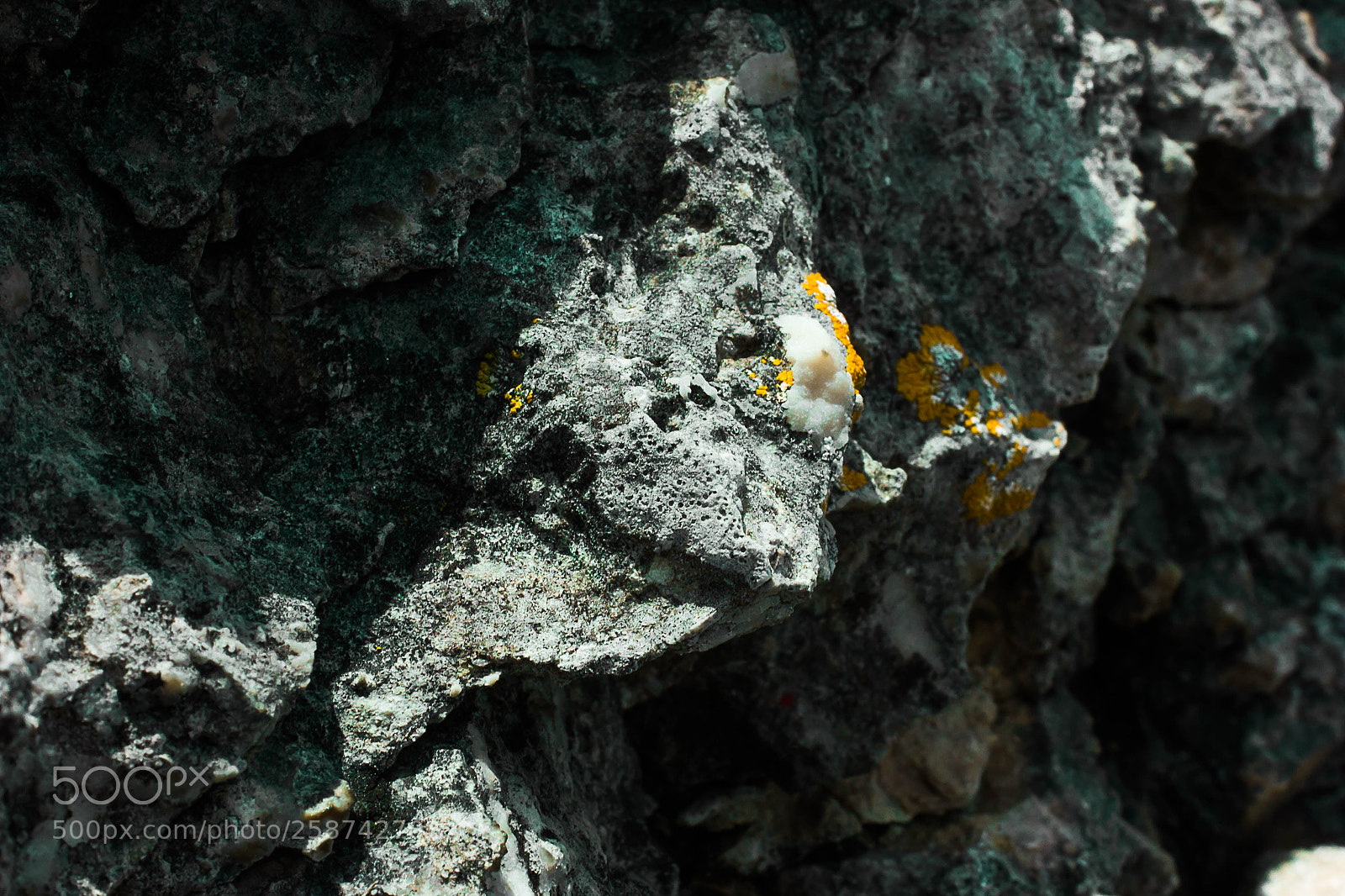 Canon EOS 550D (EOS Rebel T2i / EOS Kiss X4) sample photo. Gotland photography