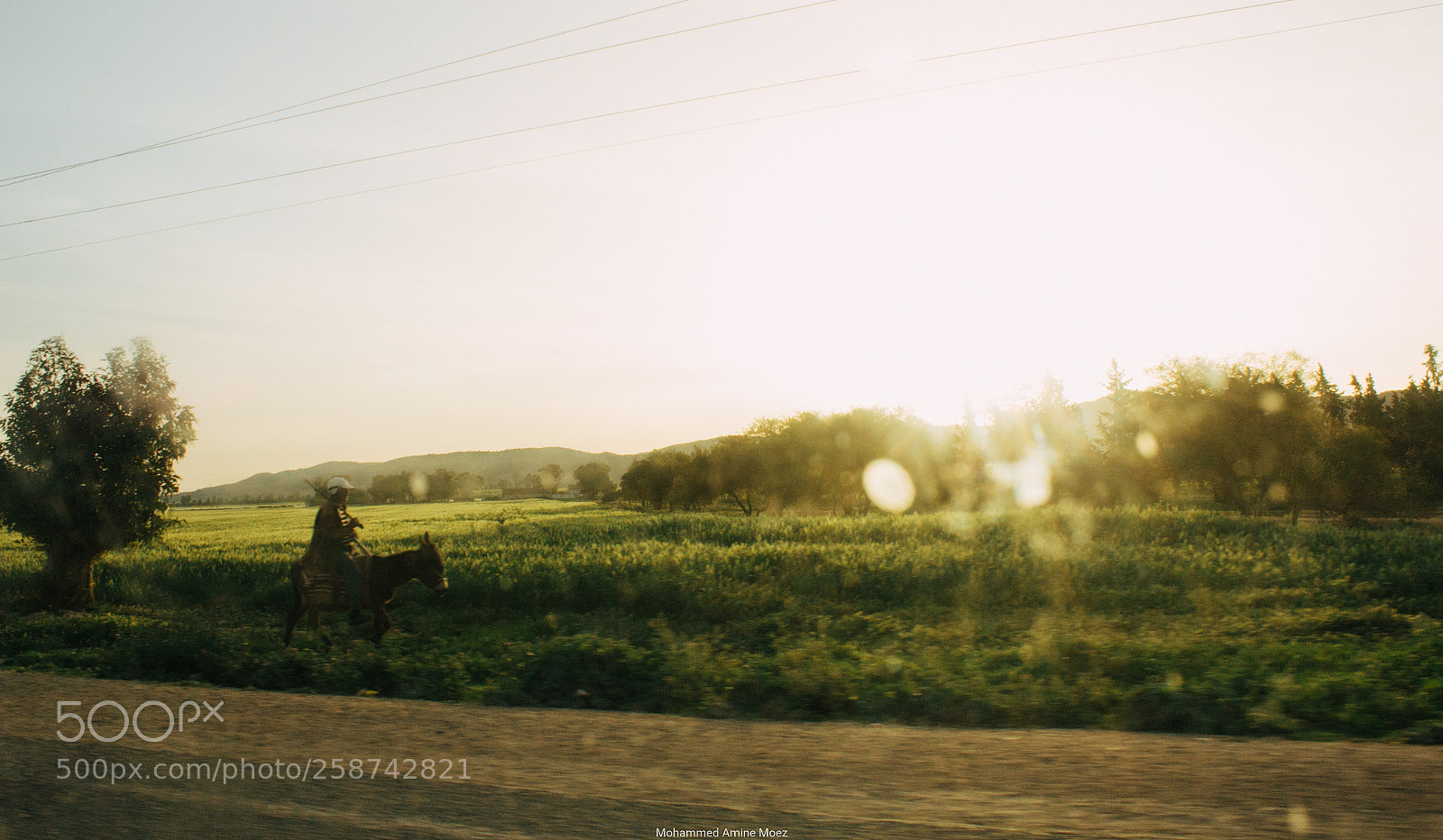 Canon EOS 60D sample photo. Untitled photography