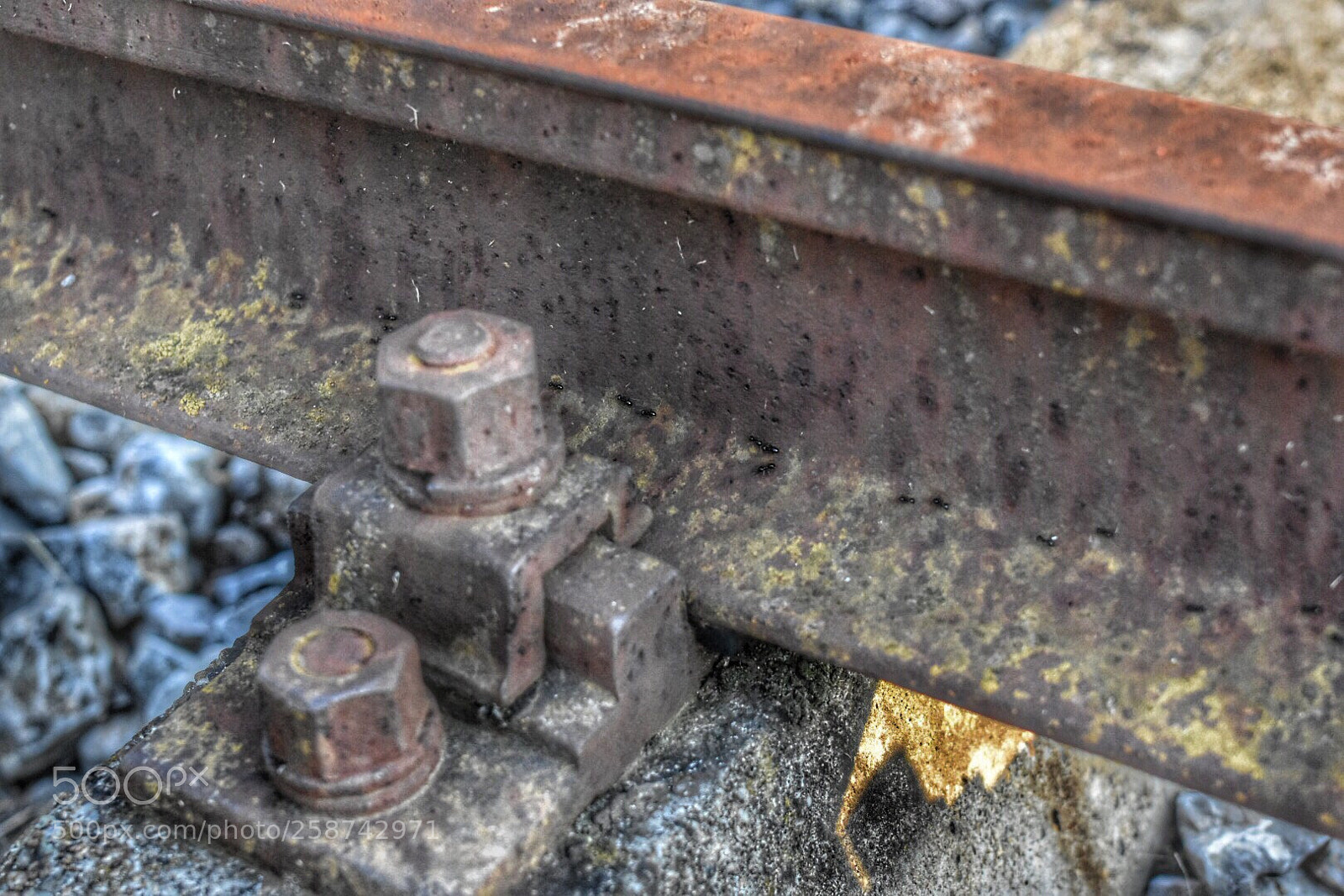 Nikon D7200 sample photo. Untitled photography