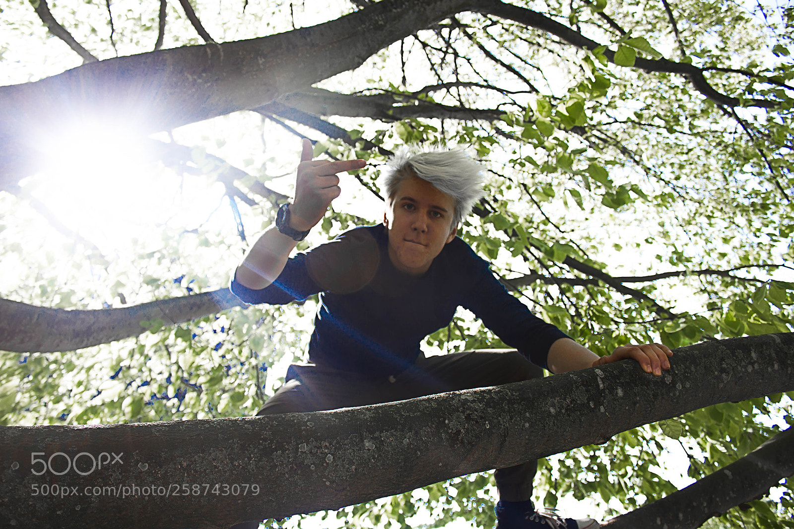 Canon EOS 550D (EOS Rebel T2i / EOS Kiss X4) sample photo. Jacob fuckar bilden photography