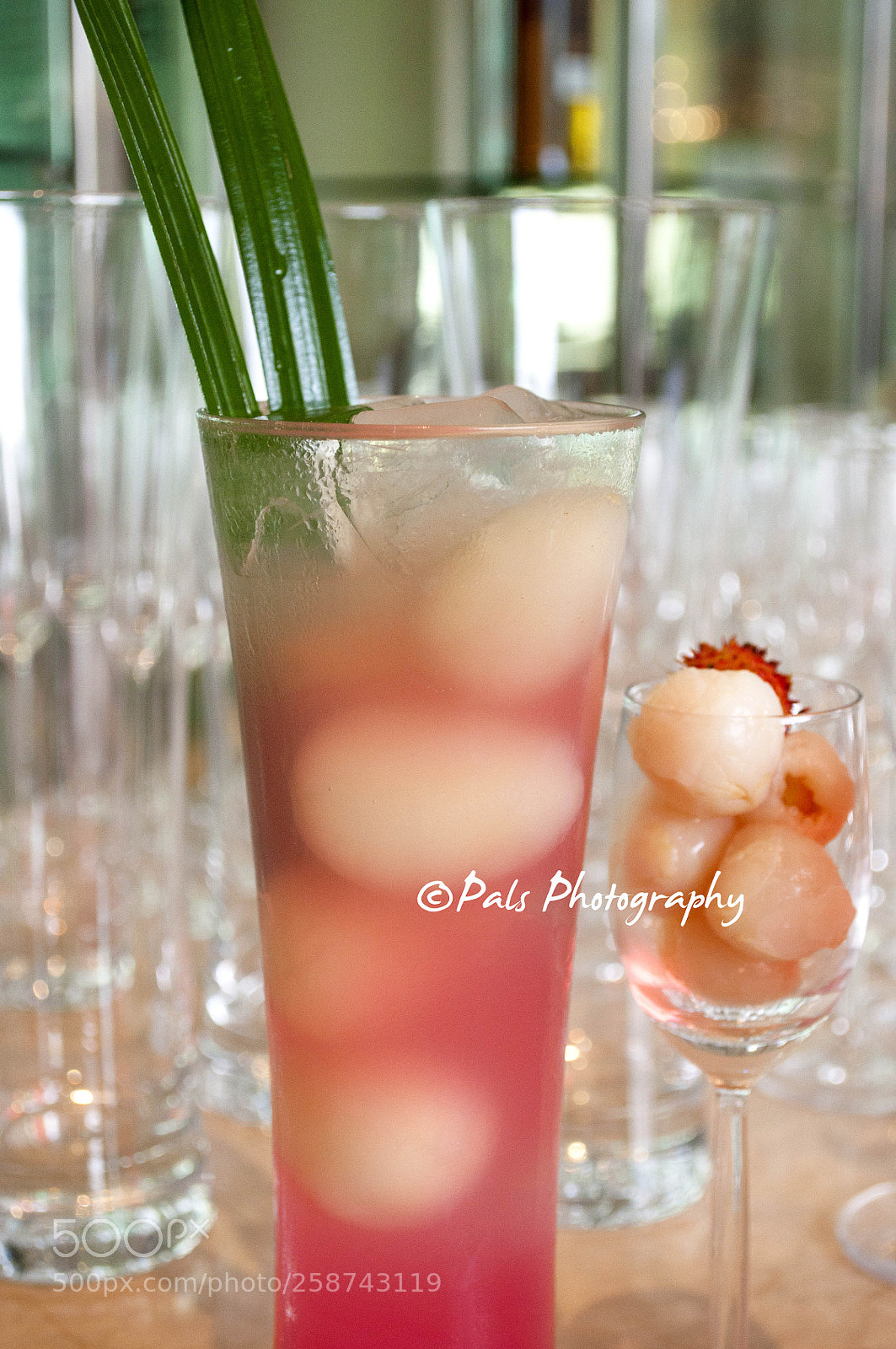 Nikon D5000 sample photo. 14.jpg photography