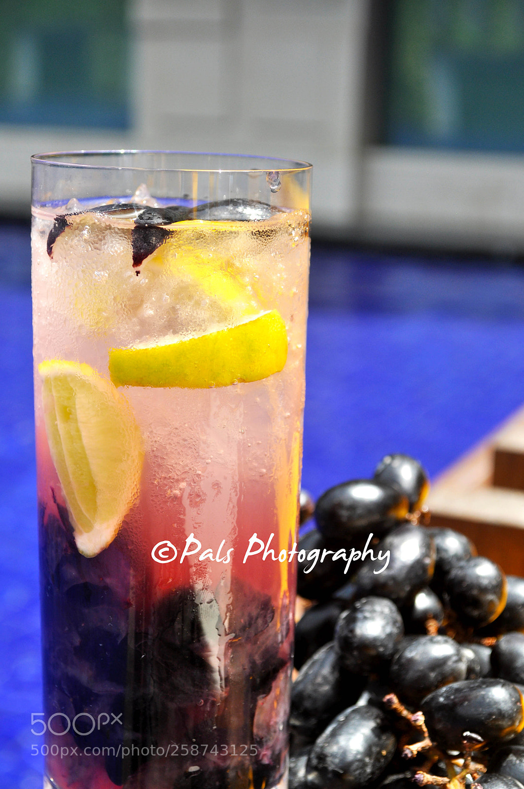 Nikon D5000 sample photo. 17.jpg photography