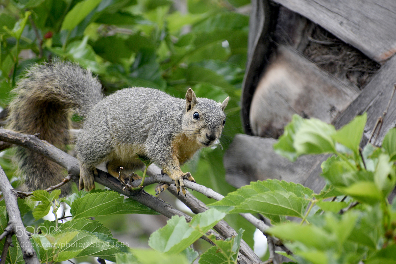 Nikon D3400 sample photo. I catch you ;) photography