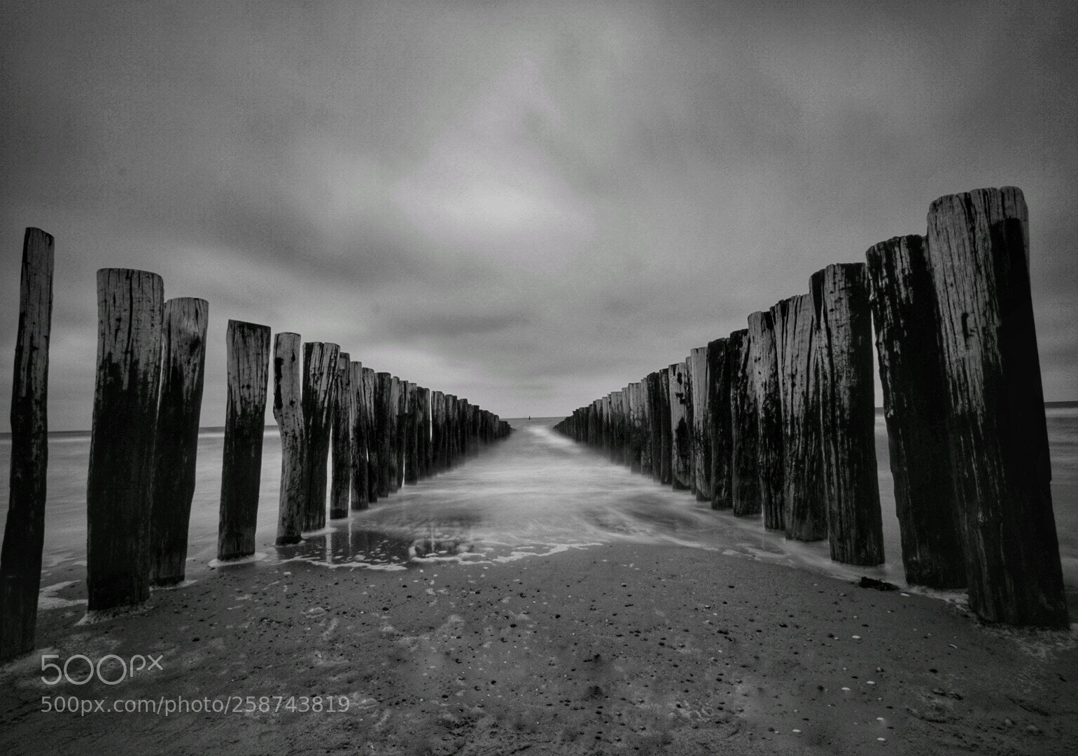 Sony ILCA-77M2 sample photo. At the sea  photography