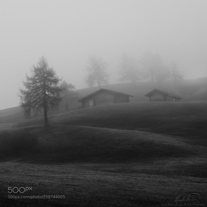 Nikon D7200 sample photo. Seiser alm photography
