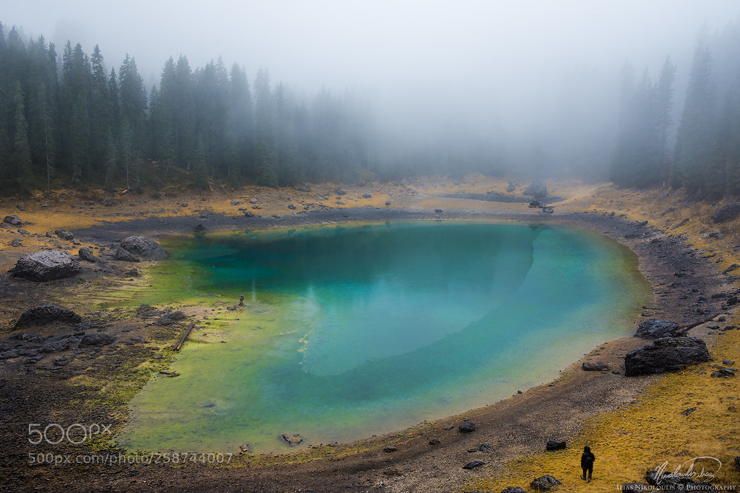 Nikon D7200 sample photo. Misty carezza photography