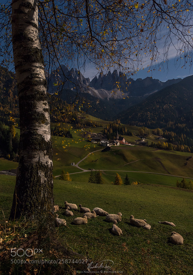 Nikon D7200 sample photo. Val di funes night photography