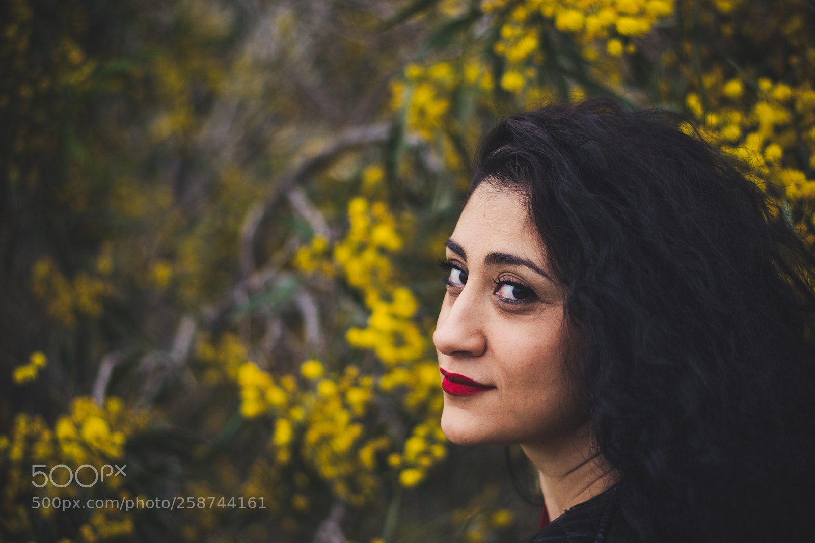 Nikon D3300 sample photo. Red on yellow photography
