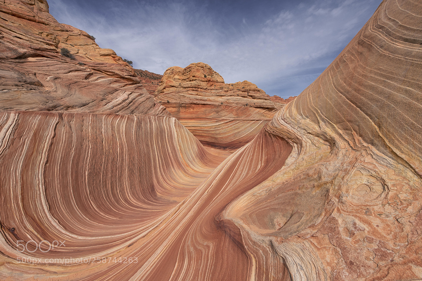Nikon D850 sample photo. The wave photography