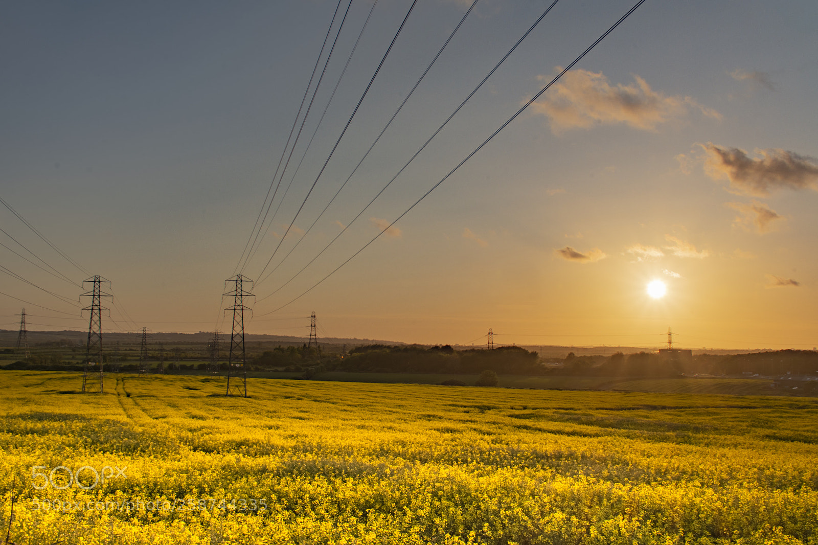 Nikon D7200 sample photo. Fields of gold. photography