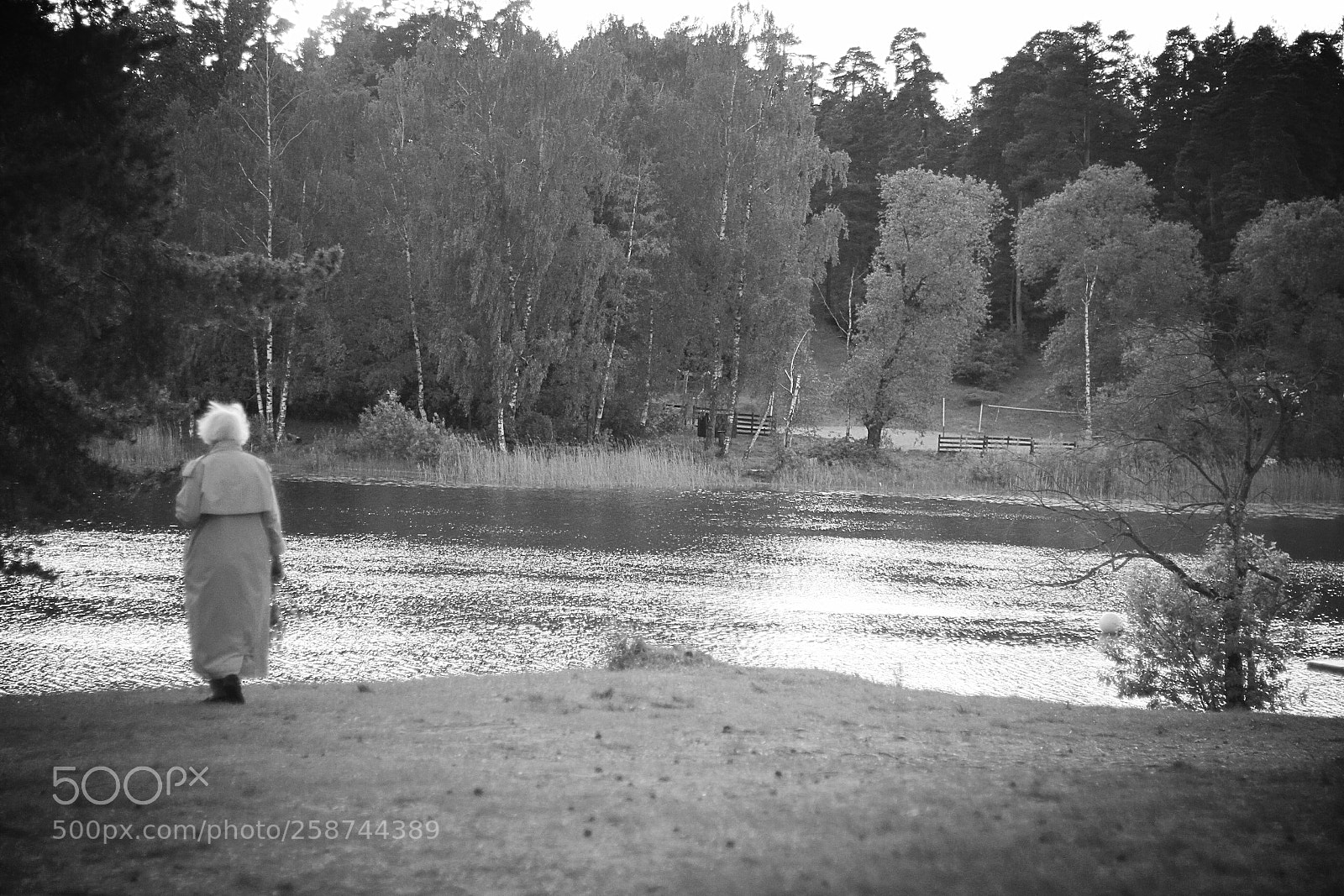Canon EOS 550D (EOS Rebel T2i / EOS Kiss X4) sample photo. Just a lonely walk photography