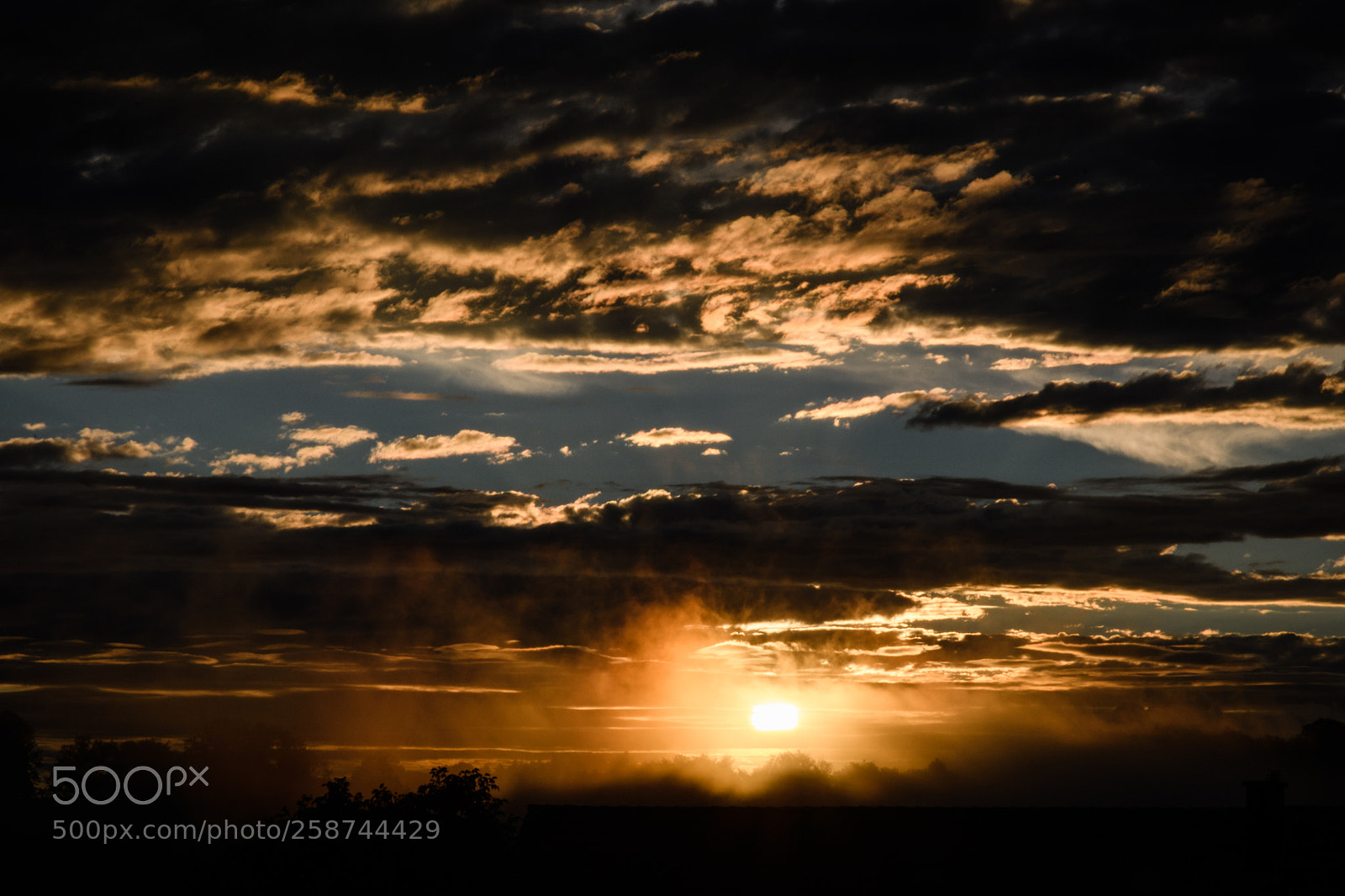 Nikon D500 sample photo. Sunset photography