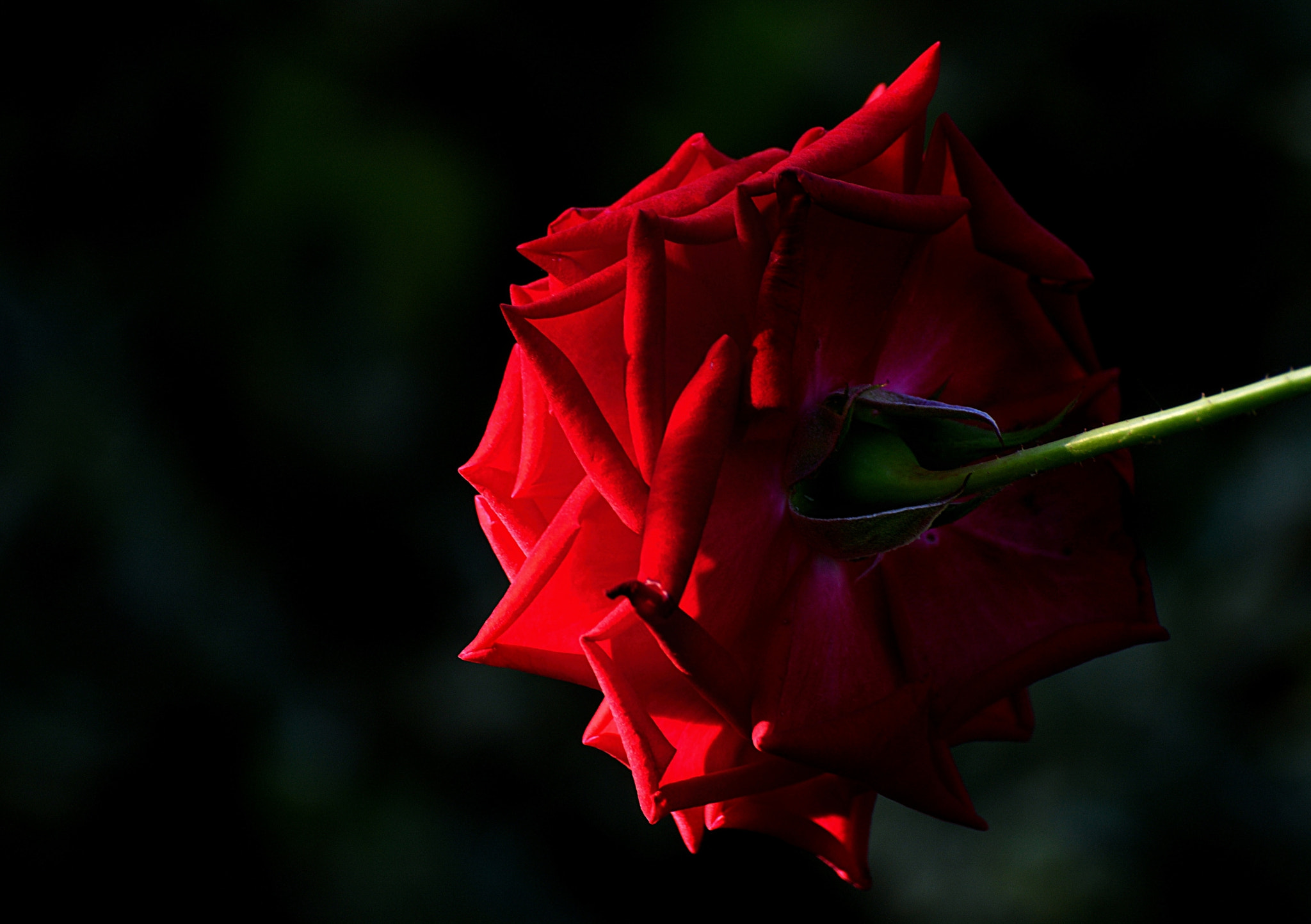 Nikon D7100 sample photo. Late afternoon photography