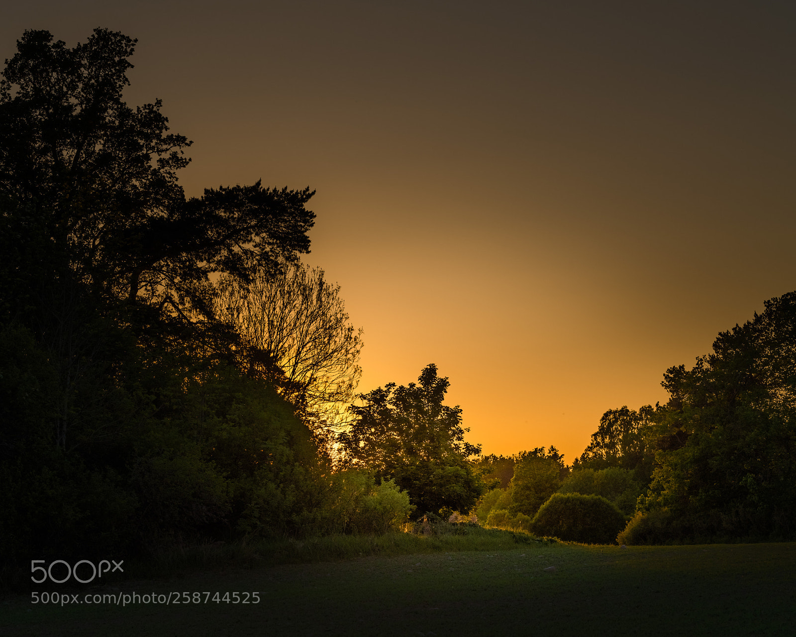 Nikon D850 sample photo. Sunset photography