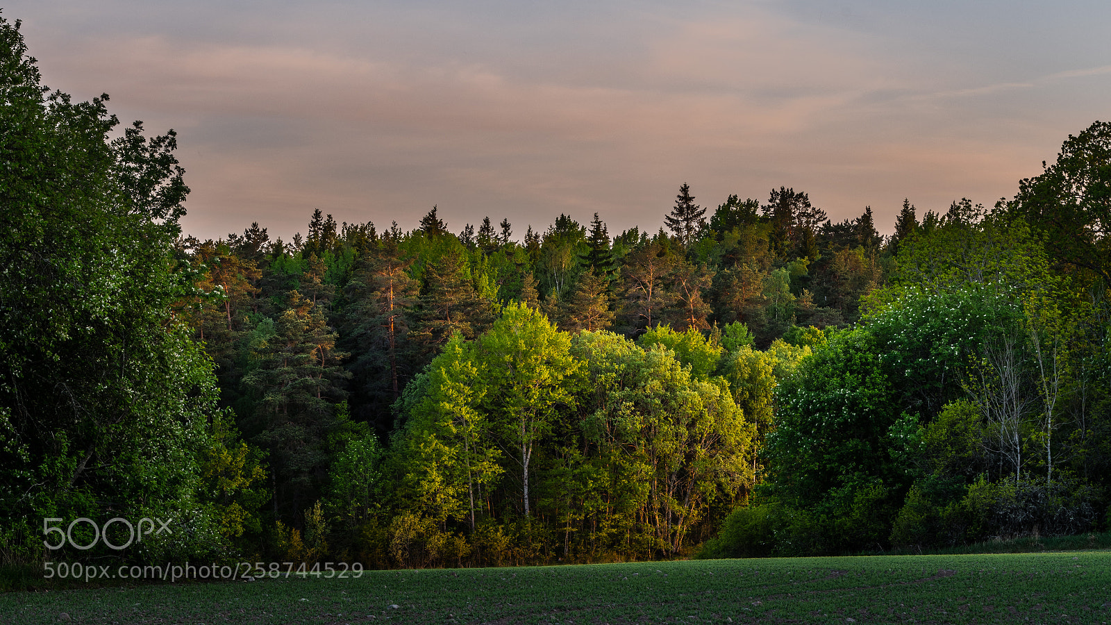 Nikon D850 sample photo. Sunset photography