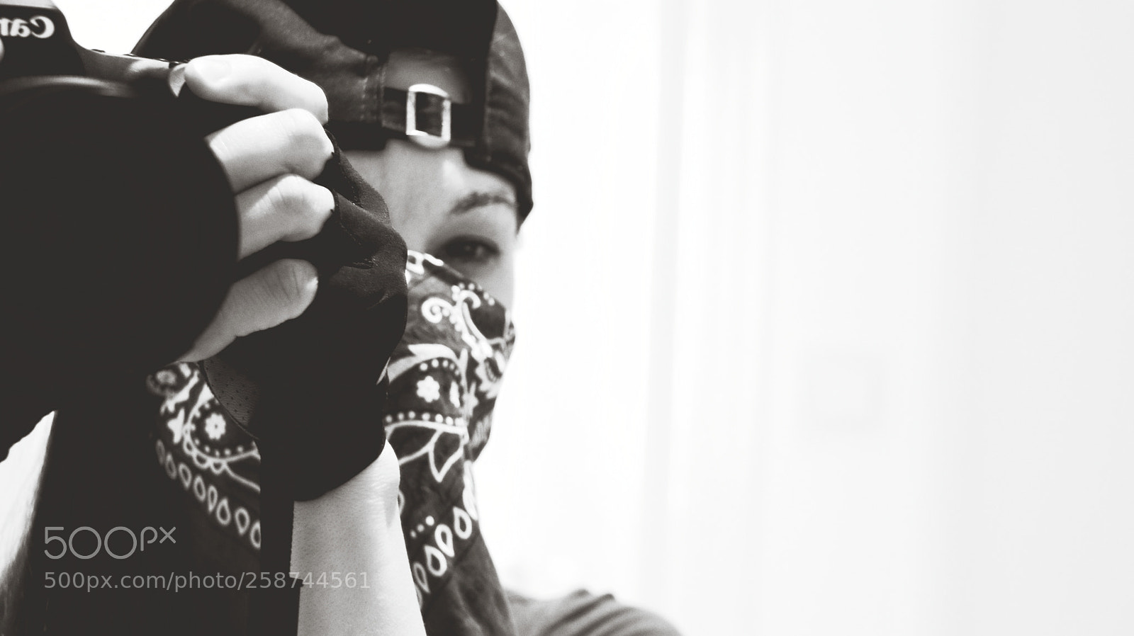 Canon EOS 80D sample photo. Untitled photography