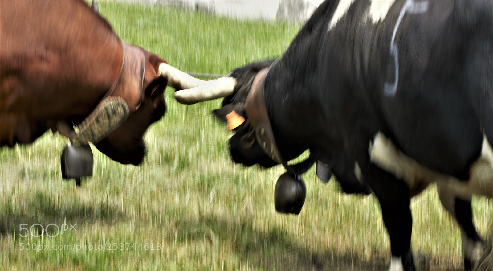 Nikon D3200 sample photo. Untitled photography