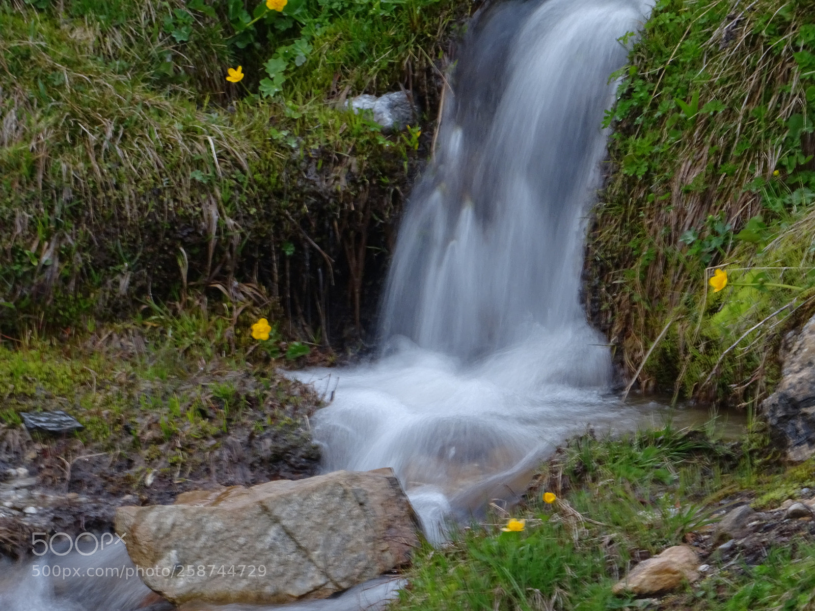 Sony DSC-HX60V sample photo. Der kleine bach... photography