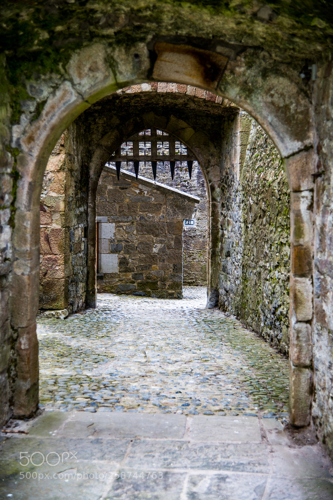 Nikon D800 sample photo. Castle entrance photography