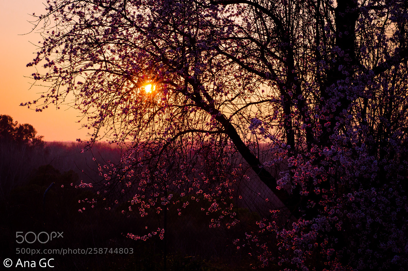 Nikon D3200 sample photo. Atardecer. photography