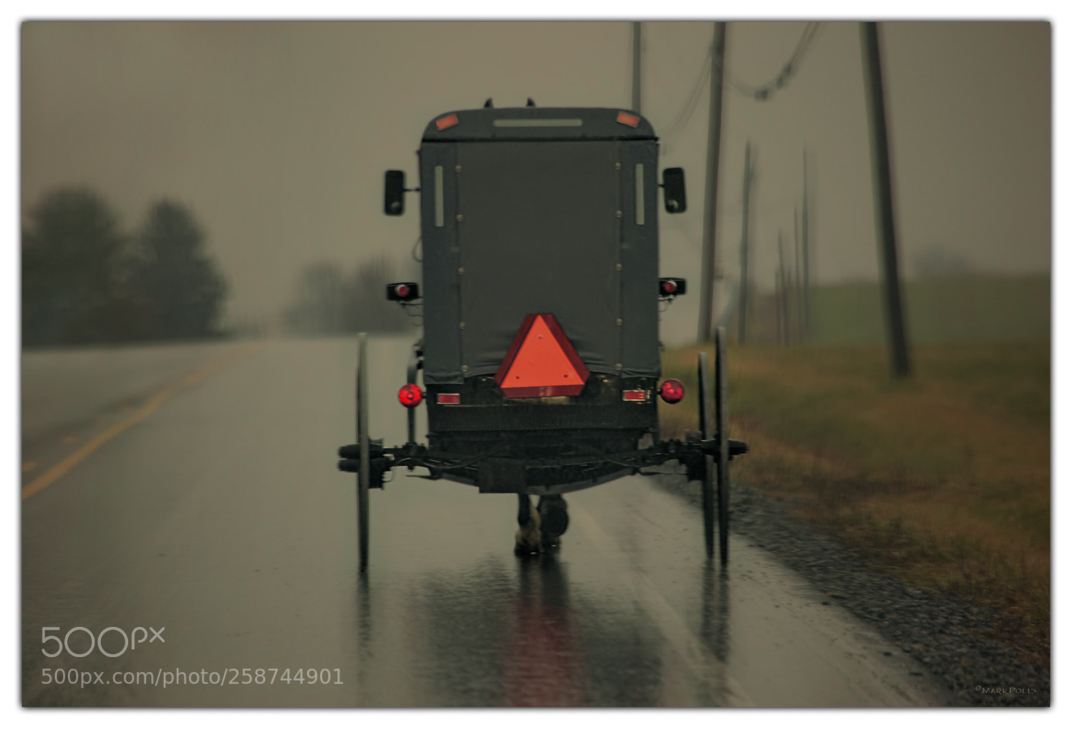 Canon EOS-1Ds Mark III sample photo. Amish buggy rearb fltd photography