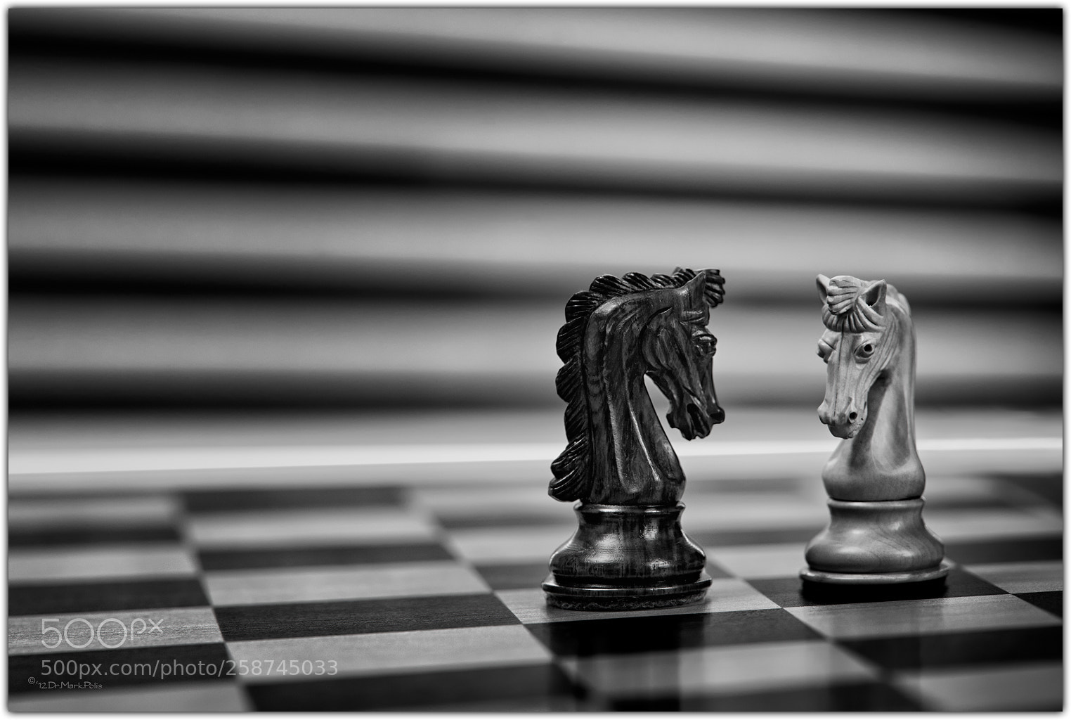 Canon EOS-1Ds Mark III sample photo. Chess knights mono fltd photography