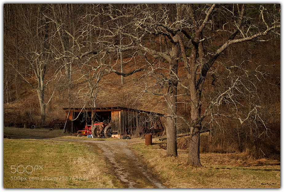 Canon EOS 7D sample photo. Deep in the hills photography
