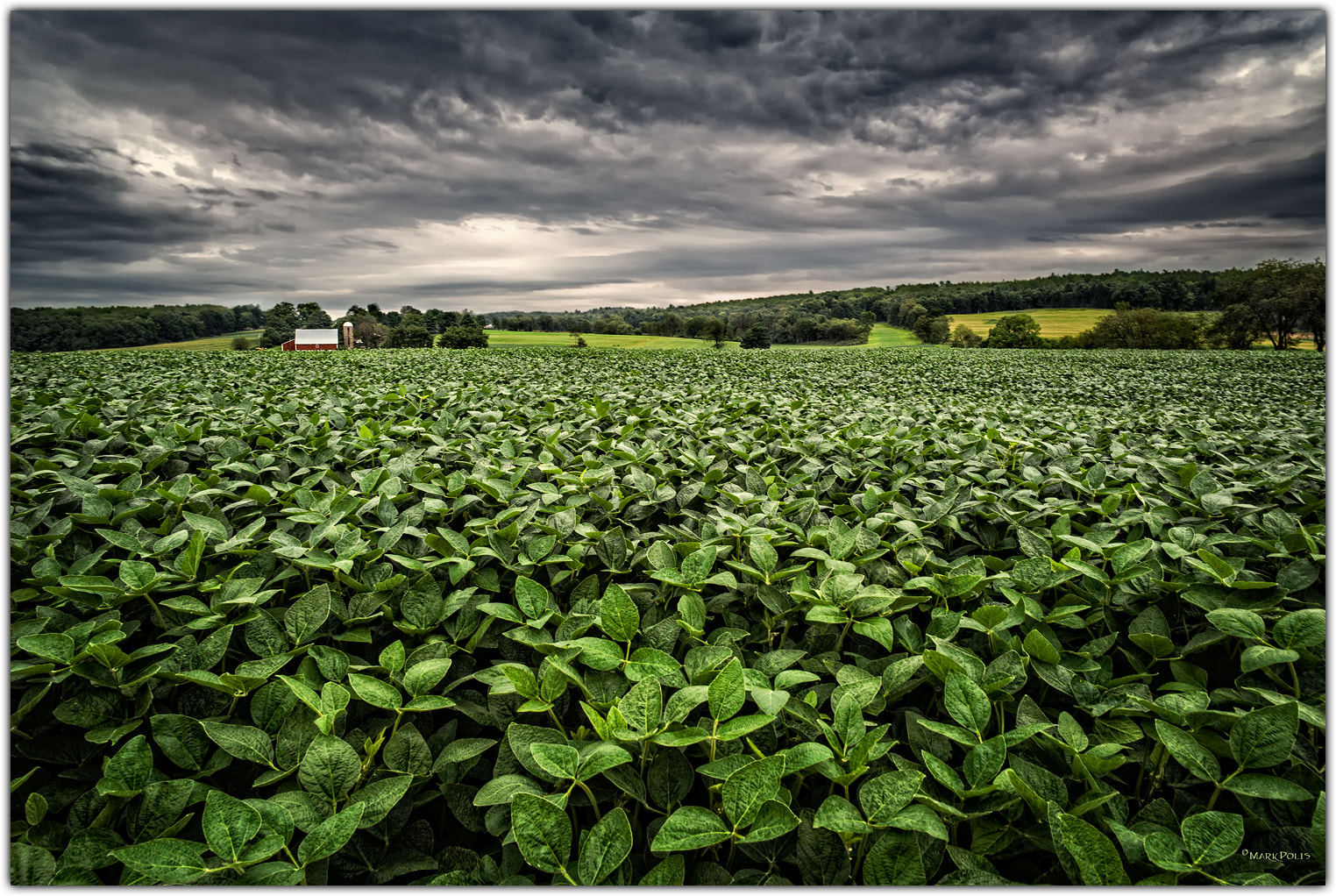 Leica M9 sample photo. Farmstead a fltd photography