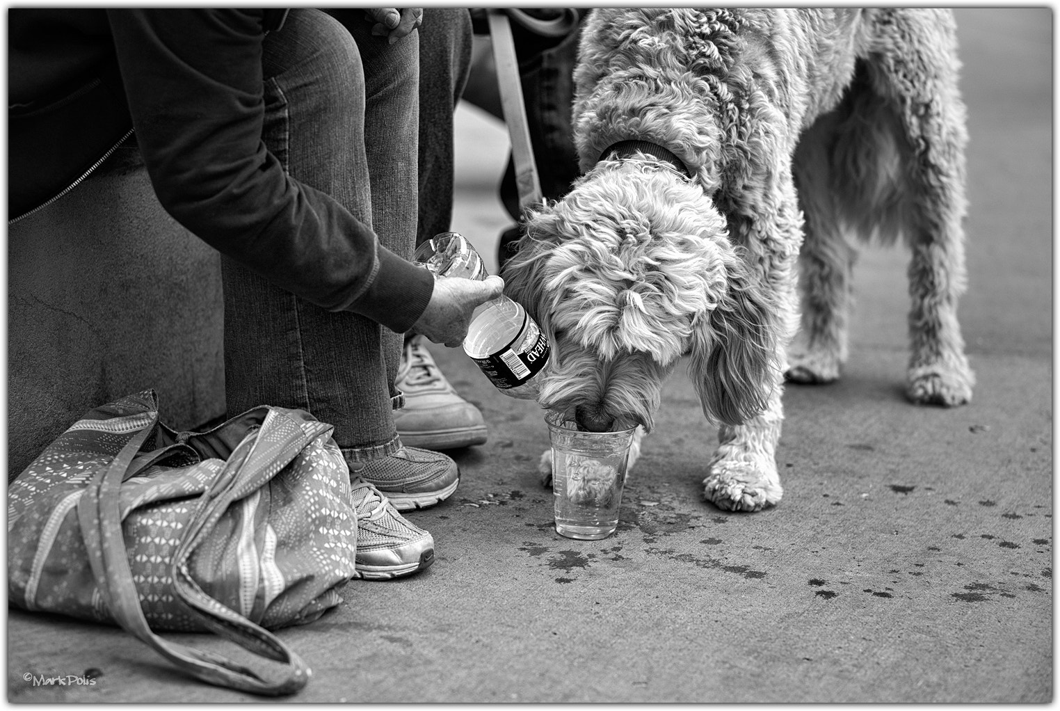Leica M9 sample photo. Hot dog days fltd photography