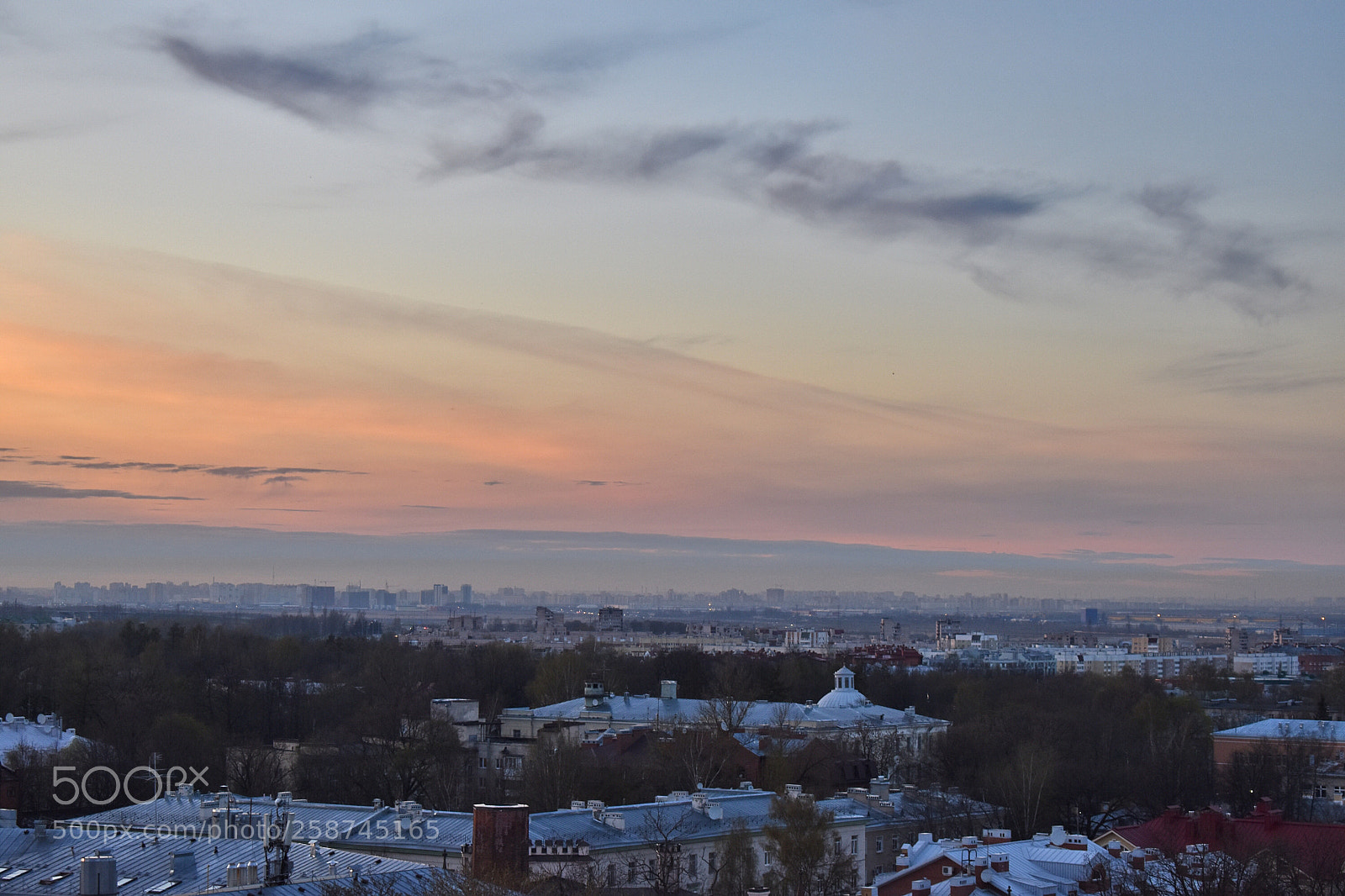 Nikon D5600 sample photo. Untitled photography