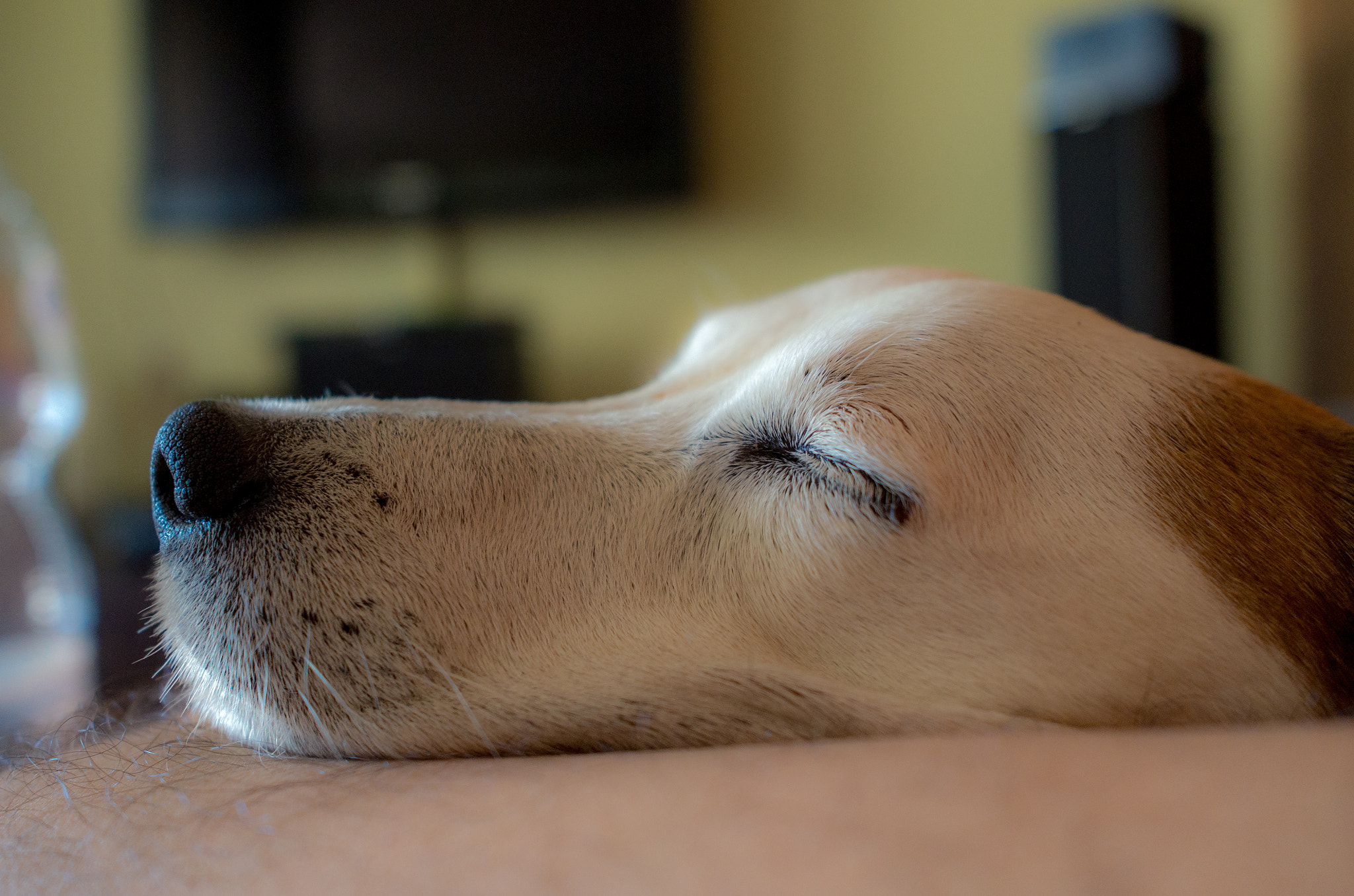 Leica X (Typ 113) sample photo. Angel tommy photography