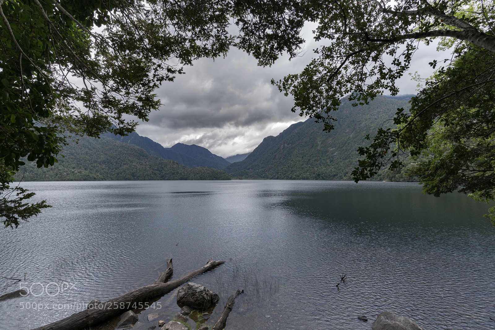 Sony a7R II sample photo. Alerce andino national park photography