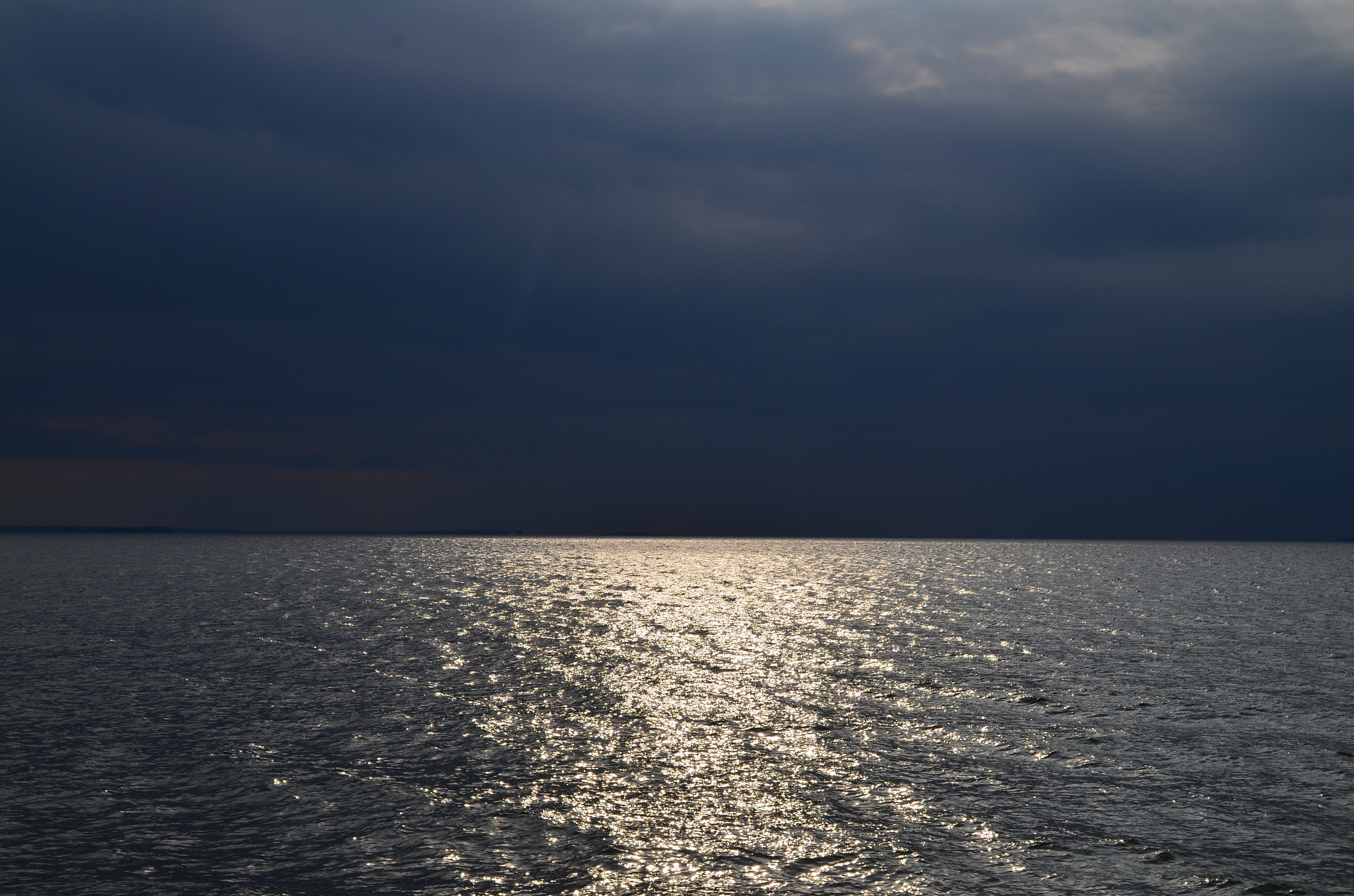 Nikon D5100 sample photo. Пивиха photography